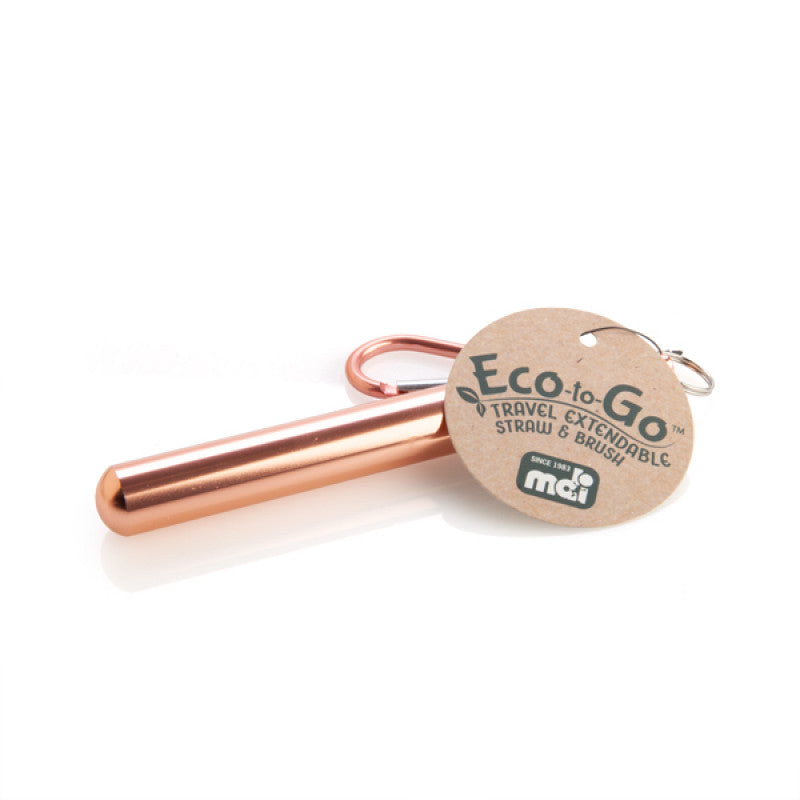 Eco-to-Go Extendable Straw & Brush Travel Kit (CDU 24)