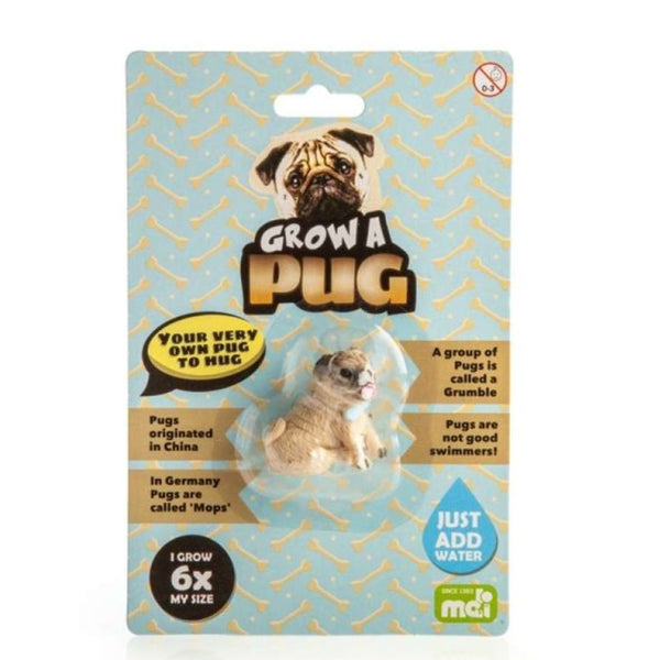 grow your own pug toy novelty wholesale